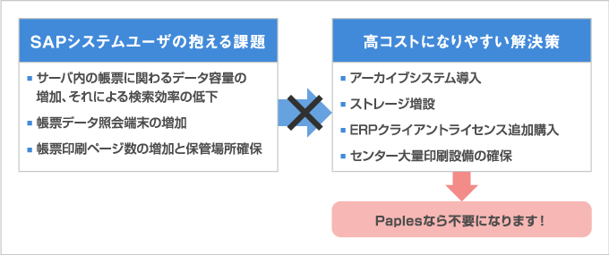 Paples for SAPシステム