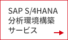 SAP S/4HANA分析環境構築サービス