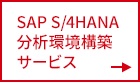SAP S/4HANA分析環境構築サービス