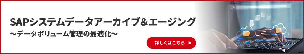 SAPシステムデータアーカイブ&エージング